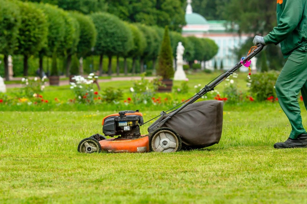 Lawnmower for Your Garden